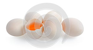 Duck eggs on white background