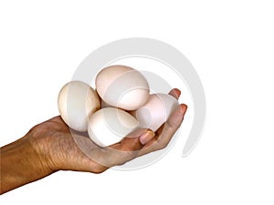 Duck eggs on white background