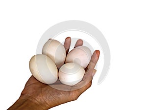 Duck eggs on white background