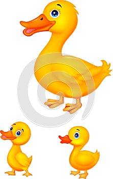 Duck family cartoon