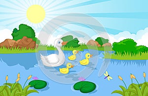 Duck family cartoon swimming