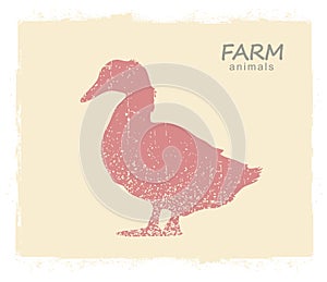 Duck farm bird silhouette. Vector vintage label of duck on old paper background