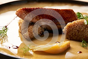 Duck fillet, Quinoa and sweet chili sauce with orange fennel