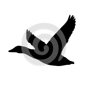 Duck in flight icon, vector illustration