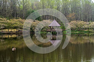 A Duck and a Gazebo