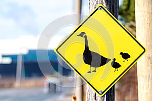 Duck or goose crossing sign