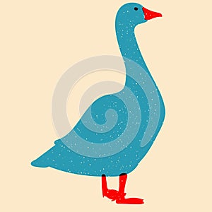 Duck, goose. Vector illustration with Riso print effect