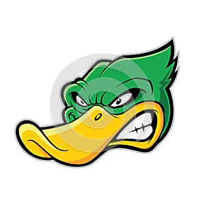 Duck head mascot