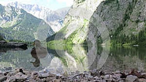 Duck in the Lake Obersee, Berchtesgaden, Bavaria, germany. Nature landscape, reserve national park. Spectacular view