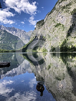 Duck in the Lake Obersee, Berchtesgaden, Bavaria, germany. Nature landscape, reserve national park. Spectacular view