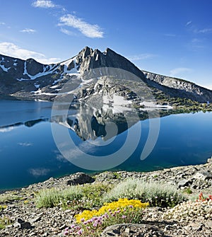 Duck Lake With Wildflowers And Mountain Reflection