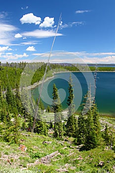 Duck Lake in Yellowstone