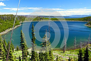 Duck Lake Yellowstone Landscape