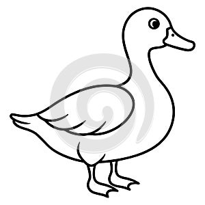 Duck Line Art Vector for Hand Drawing and Art photo
