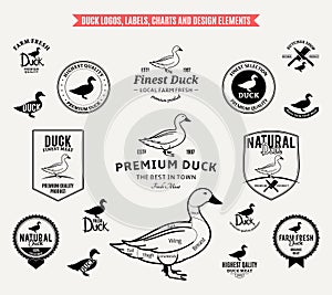 Duck Logos, Labels, Charts and Design Elements