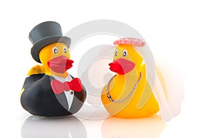 Duck marriage