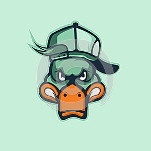 Duck mascot for sport club