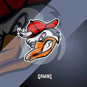 Duck mascot for sport team