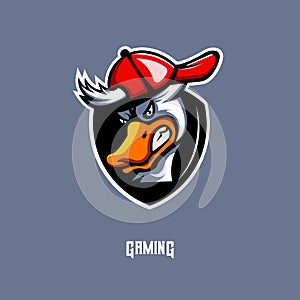 Duck mascot for sport team