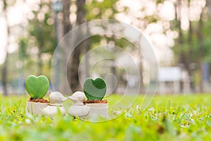 Duck mini flowerpot with heart flower on the garden