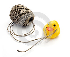Duck and noose