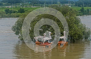 Duck paddle boats floating next to tree submerged in flooded river