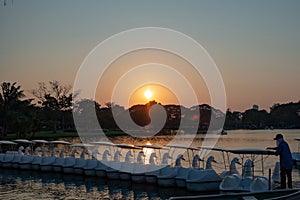 Duck pedal boat is lined up in the sunset.