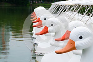 Duck pedal boats.