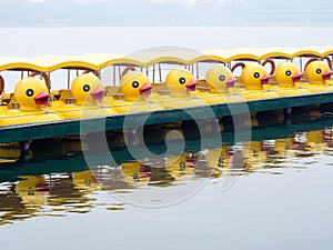 Duck pedal boats in a row