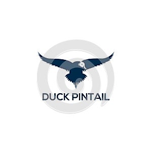 Duck pintail logo vector design illustratin