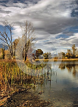 Duck Pond at Bishop