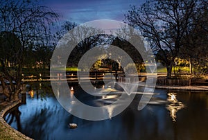 Duck Pond at the University of New Mexico, Albuquerque