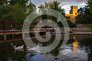 The Duck Pond on the University of New Mexico in Albuquerque, New Mexico campus with pond and bridge at sunset