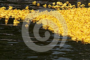 Start of a rubber duck toy race