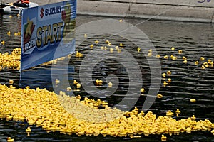 Start of a rubber duck toy race