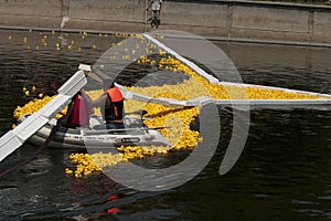 Start of a rubber duck toy race
