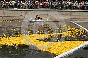Start of a rubber duck toy race