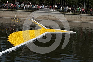 Start of a rubber duck toy race