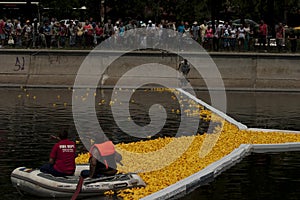 Start of a rubber duck toy race