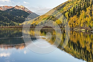 Duck Ripples on Serene Crystal Lake