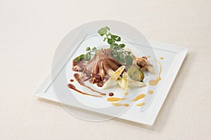 Duck roast truffle and orange two-color source on white plate ba