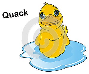 Duck say quack photo