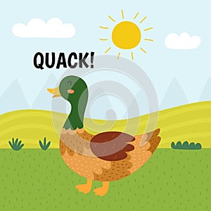Duck saying quack print. Cute farm character on a green pasture making a sound photo