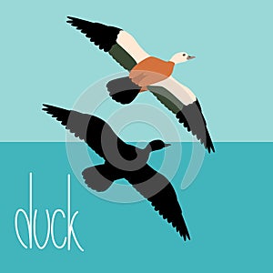 duck set vector illustration style Flat silhouette