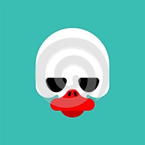 Duck skull isolated. Duck braincase Vector illustration