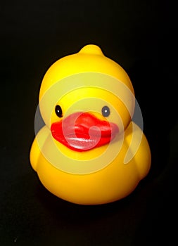 Duck toy 12