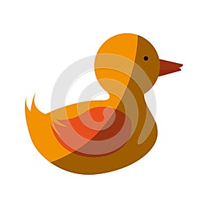 duck toy design