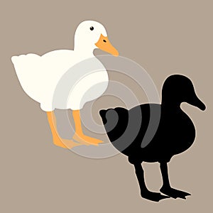 Duck vector illustration profile side flat style black