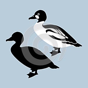 Duck vector illustration style Flat