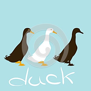 duck vector illustration style Flat side profile